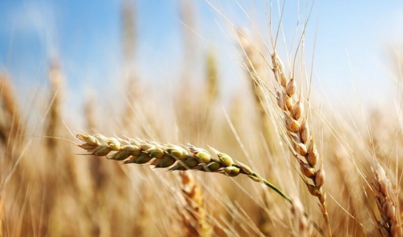 智慧農業發展基礎&mdash;四種數據、三大渠道