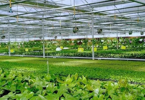 為農業插上翅膀，物聯網引領下一個農業時代！