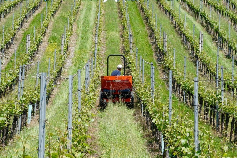 智慧農業前景好,可為啥農民用得少?