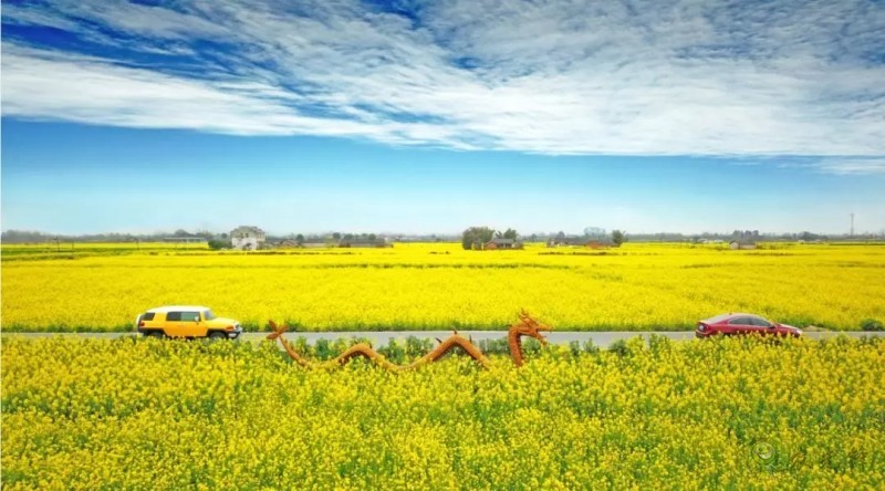 智慧農業前景好,可為啥農民用得少?