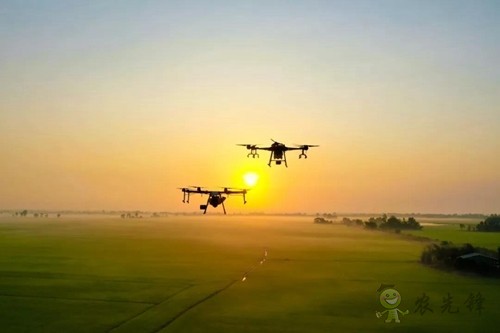 林重意:越南農業植保飛防服務