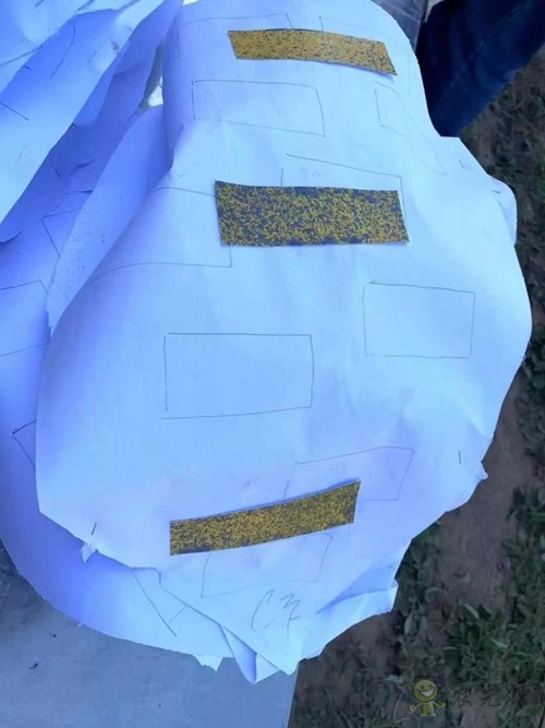 林重意:越南農業植保飛防服務