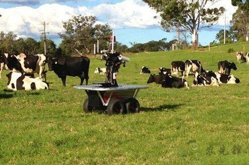 現場機器人，“上的了天 下的了地”
