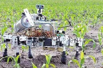 5G的機器人有哪些?5G農業機器人又在其中嗎?