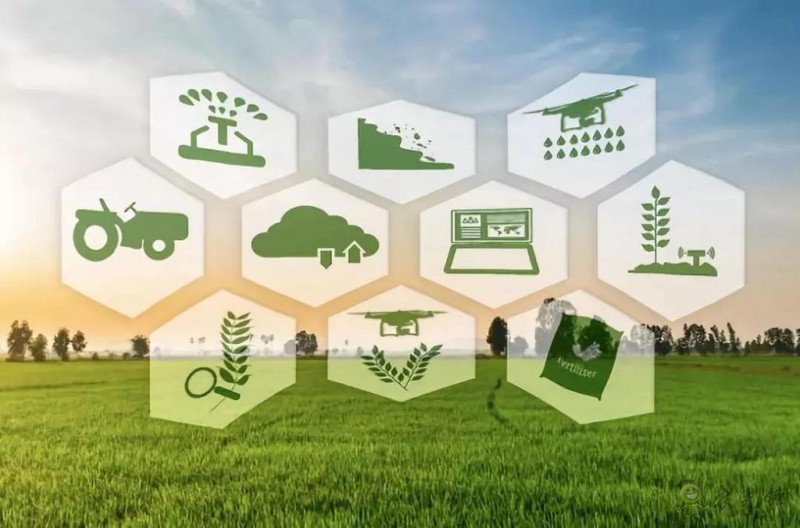 郭濤：解讀2020年中央一號(hào)文件 智慧農(nóng)業(yè)助力鄉(xiāng)村振興