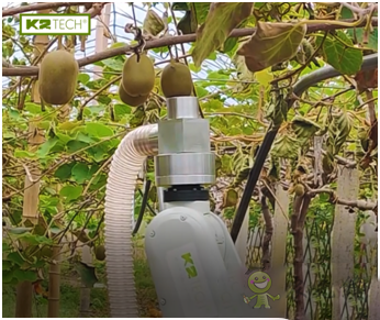 果蔬采收機器人，農業自動化發展新突破