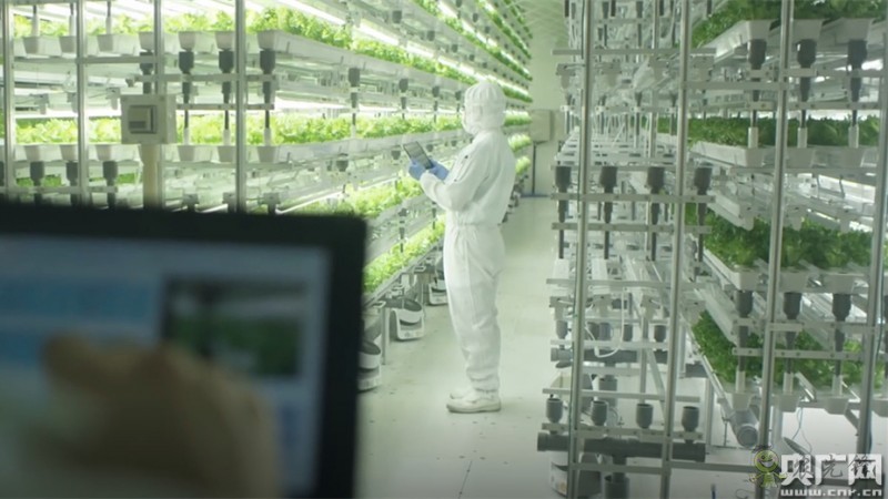 全國政協委員楊國強:發展現代農業 打造規模化無人農場