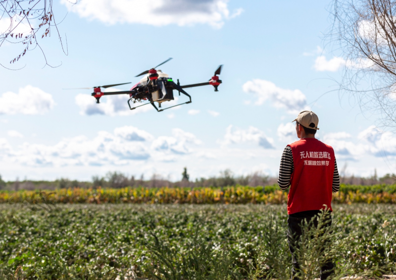 新疆棉花收獲極飛農(nóng)業(yè)無人機來助力