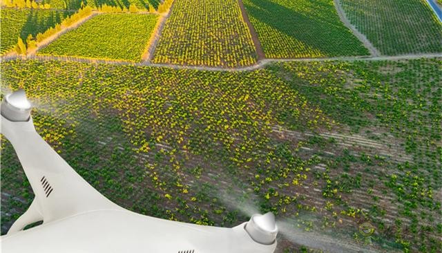 《2020-2024年全球智能農(nóng)業(yè)裝備行業(yè)深度市場調(diào)研及重點(diǎn)區(qū)域研究報(bào)告》