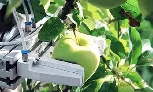 Tractica預(yù)計，到2025年，農(nóng)業(yè)機器人的全球市場價值將達到879億美元。