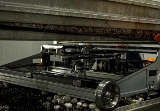 農(nóng)業(yè)機器人