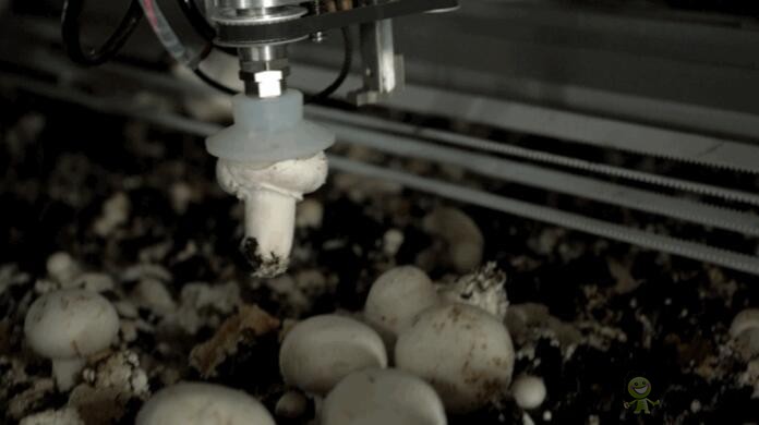 農(nóng)業(yè)機器人