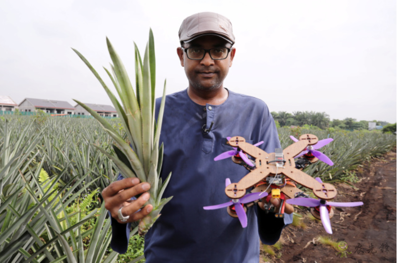 菠蘿葉中的纖維也可以成為無人機材料?