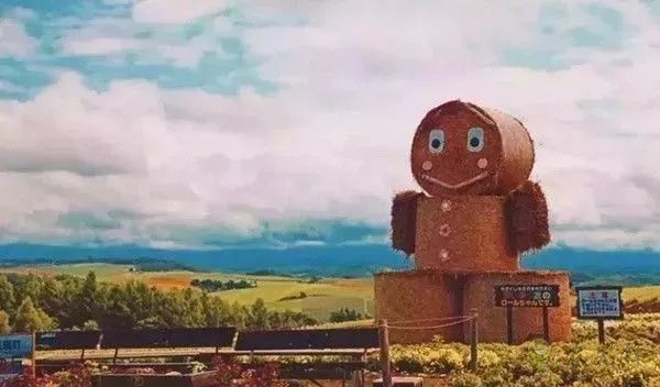 農(nóng)業(yè)模式