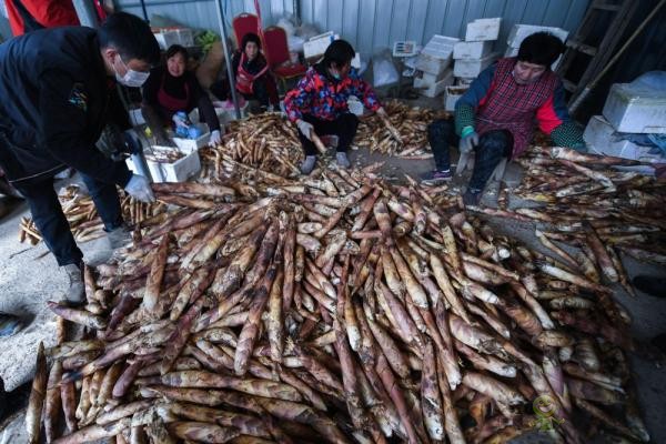 地方農(nóng)業(yè)