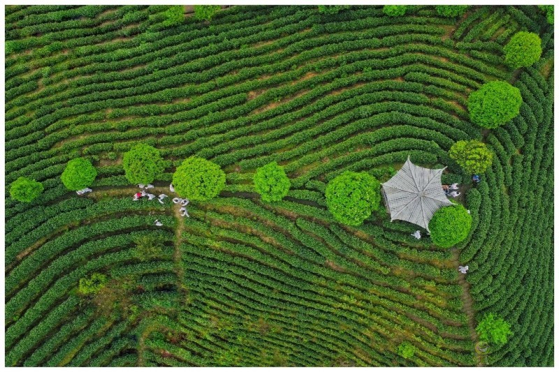 農(nóng)業(yè)展會(huì)