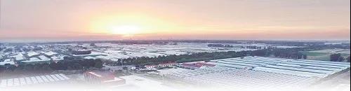 ?鄉(xiāng)村振興，壽光答卷