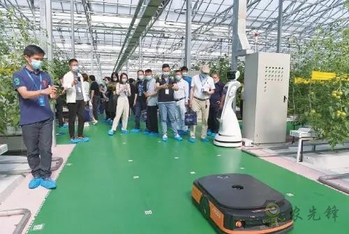 ?鄉(xiāng)村振興，壽光答卷