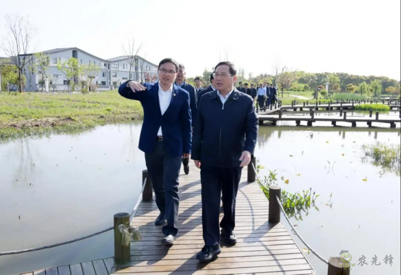 上海市委書記李強談鄉村振興：三個價值、三個空間、三個趨勢