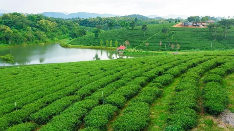 生態(tài)循環(huán)農(nóng)業(yè)”的發(fā)展重點(diǎn)