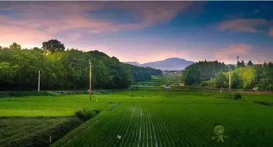 日本農產品自給率下降,糧食安全排名卻上升