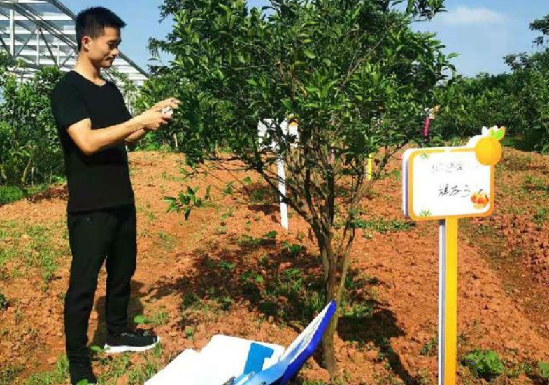 四川青神:打造智慧氣象數字果園 助力農業產業現代化