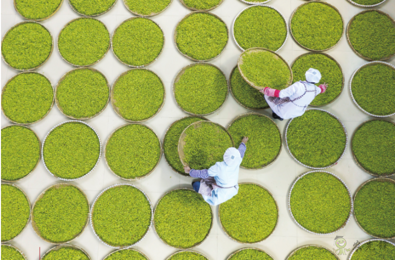 《鄉(xiāng)村振興戰(zhàn)略規(guī)劃實(shí)施報告（2020年）》出版發(fā)布