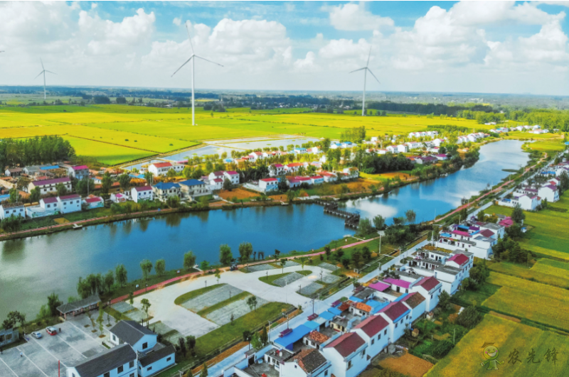 《鄉(xiāng)村振興戰(zhàn)略規(guī)劃實(shí)施報告（2020年）》出版發(fā)布