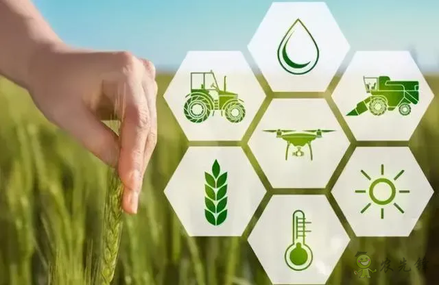 智慧農業前景廣闊 15所高校設立&ldquo;智慧農業&rdquo;專業