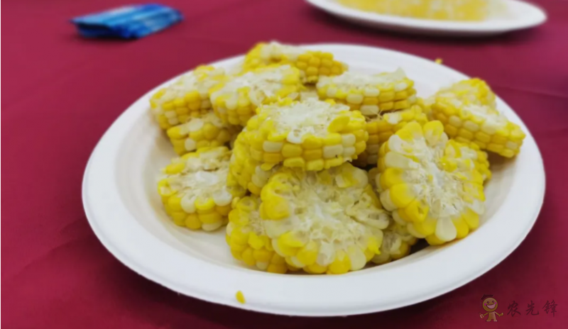 北京:發揮種業創新優勢做強鮮食玉米產業