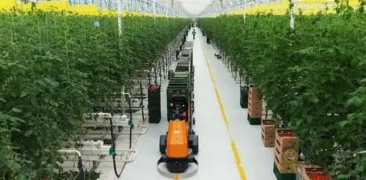 華為養豬帶來的效應，AI+視覺技術正推進智慧農業