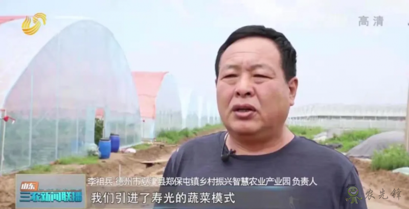 &ldquo;壽光標準&rdquo;向全國輸出 推動蔬菜產業提檔升級