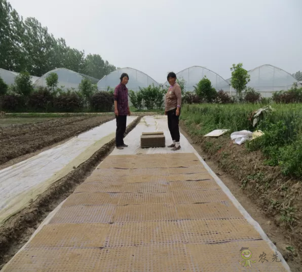 2021年農業農村部重大引領性技術發布！