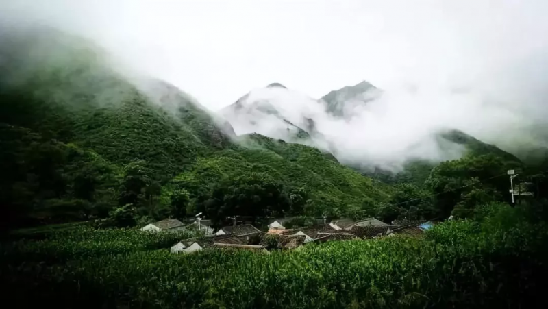 當(dāng)代中國農(nóng)業(yè)轉(zhuǎn)型技術(shù)選擇之爭:化學(xué)化?轉(zhuǎn)基因?