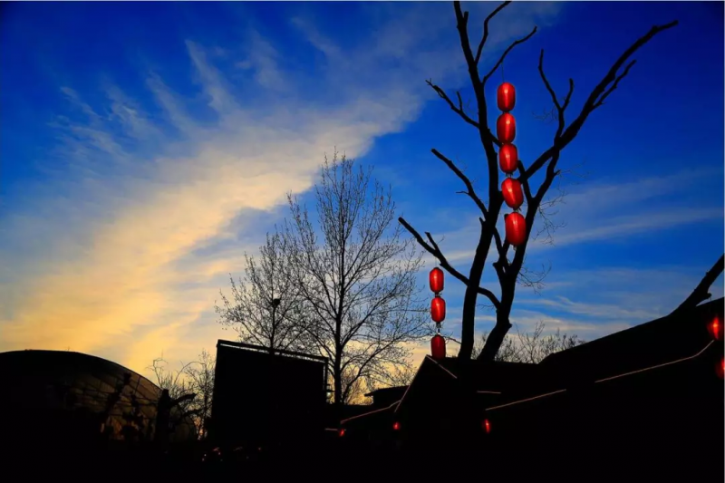 當(dāng)代中國農(nóng)業(yè)轉(zhuǎn)型技術(shù)選擇之爭:化學(xué)化?轉(zhuǎn)基因?