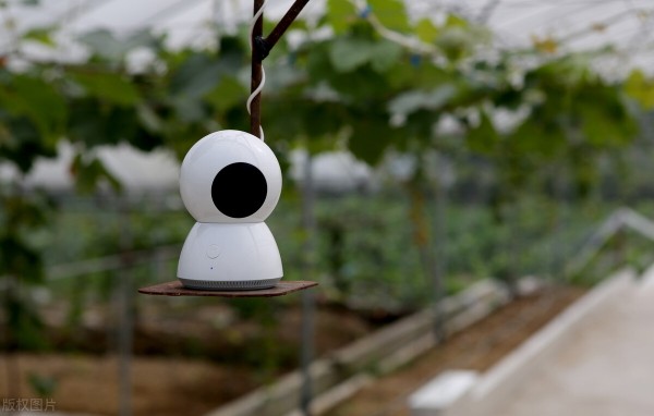 8大農(nóng)業(yè)產(chǎn)業(yè)崛起，未來或?qū)⒊蔀橥顿Y重點