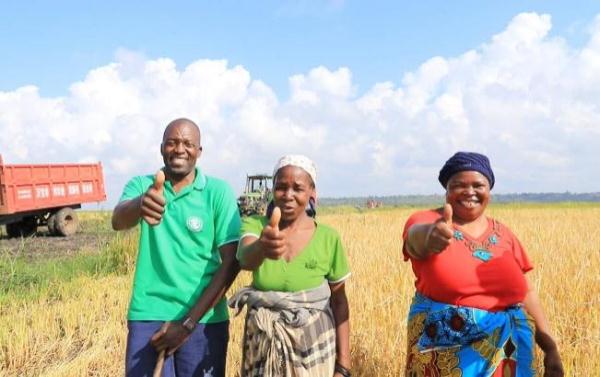 &ldquo;中國農技&rdquo;&ldquo;中國農機&rdquo;&ldquo;中國農場&rdquo;助力非洲農業發展