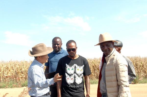 &ldquo;中國農技&rdquo;&ldquo;中國農機&rdquo;&ldquo;中國農場&rdquo;助力非洲農業發展