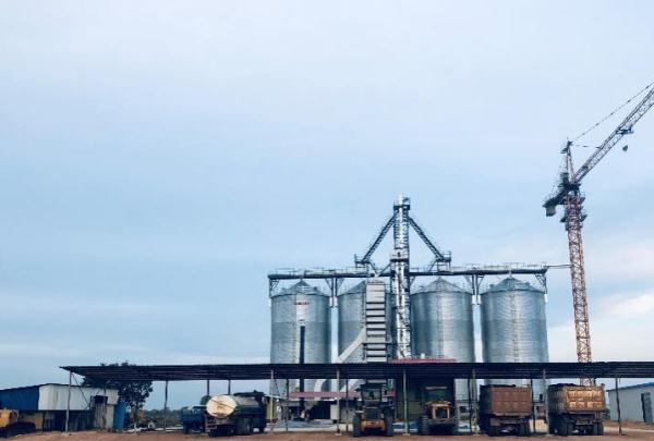 &ldquo;中國農技&rdquo;&ldquo;中國農機&rdquo;&ldquo;中國農場&rdquo;助力非洲農業發展