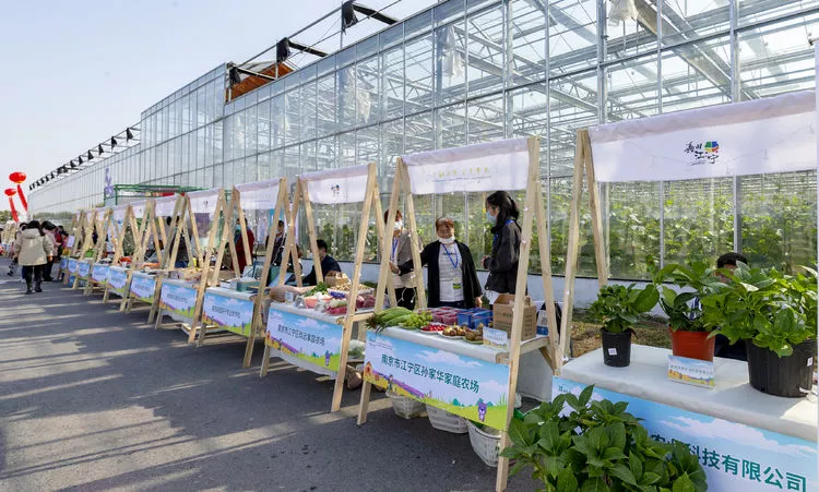 第五屆中國&middot;江蘇蔬菜種業博覽會開幕 1511個品種集體亮相