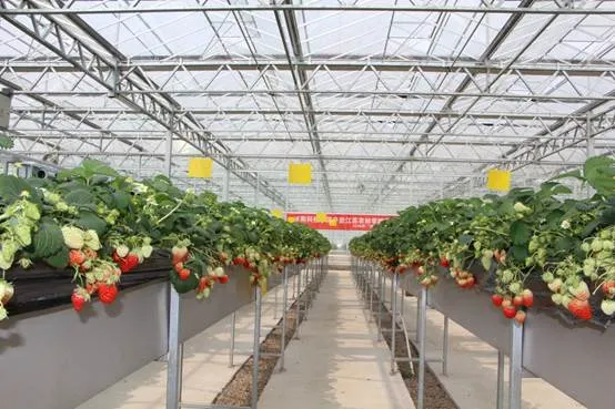 設(shè)施園藝智能化發(fā)展趨勢與路徑