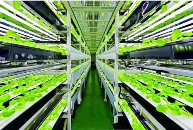 設(shè)施園藝智能化發(fā)展趨勢與路徑