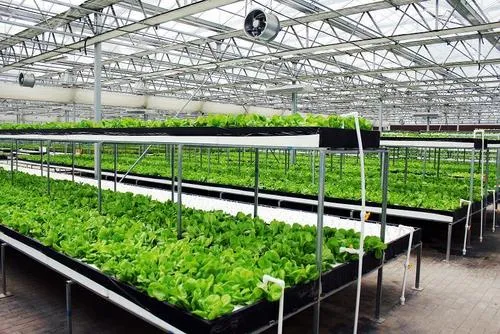 設(shè)施園藝智能化發(fā)展趨勢與路徑