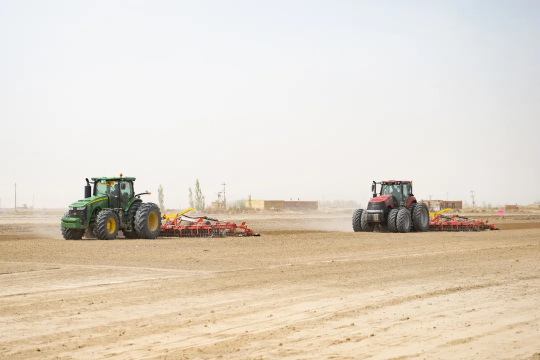 超級棉田喜獲豐收，極飛科技打造鄉(xiāng)村振興新樣本