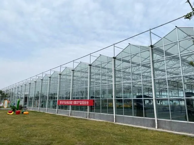 江蘇：全省&ldquo;一張網&rdquo;，兜牢農產品質量