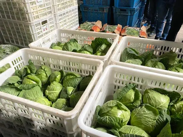 江蘇：全省&ldquo;一張網&rdquo;，兜牢農產品質量