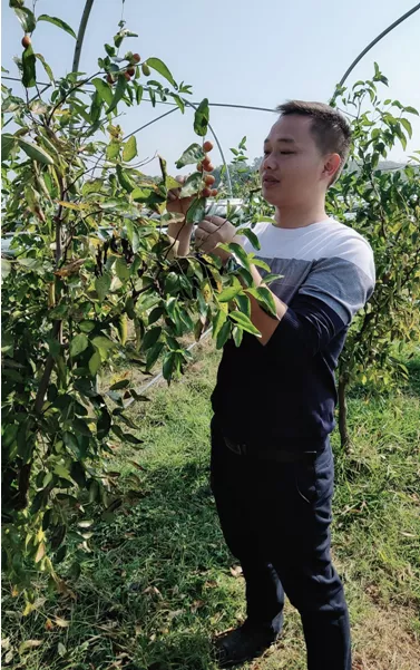 寧鄉(xiāng)：新型職業(yè)農(nóng)民成為令人羨慕的&ldquo;綠領&rdquo;