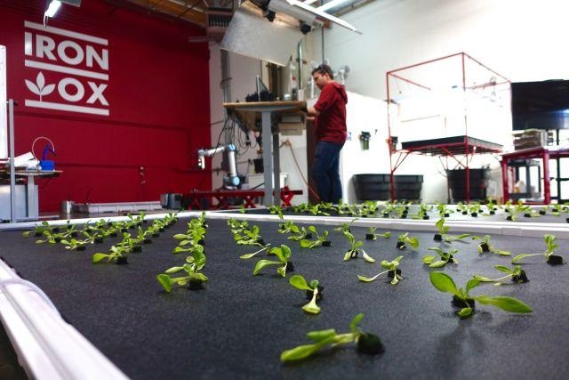 美國研發智慧農場，未來蔬菜將由機器人種植