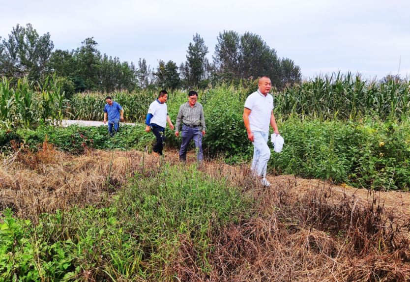 國家加大農業獎補力度，對農民種糧是個好消息，2022年該如何調整