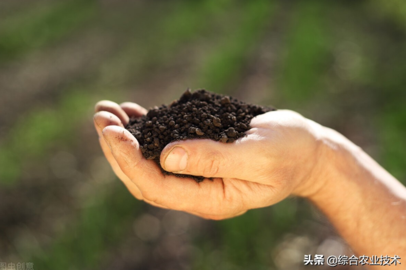 玉米地病蟲害越來越重,冬季閑了有辦法預防病蟲害嗎?